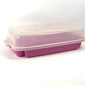 Vintage Rubbermaid Servin Saver Divided Tray Covered w/ Lid Raspberry Pink